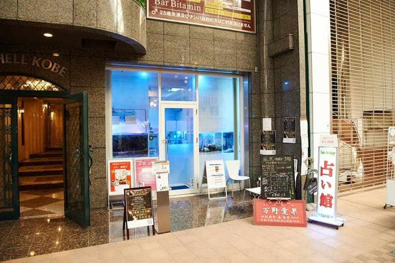 占い館 天使のうさぎ