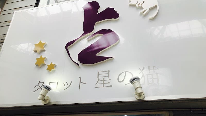 タロット 星の猫
