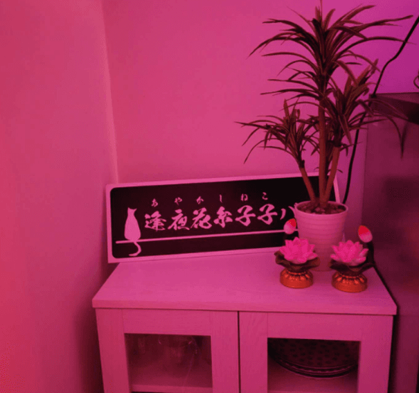 占いバー 晃桜花 逢夜花糸子子bar 浅草橋