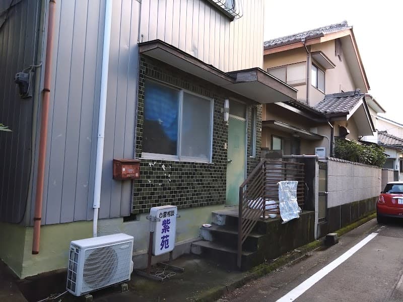 紫苑