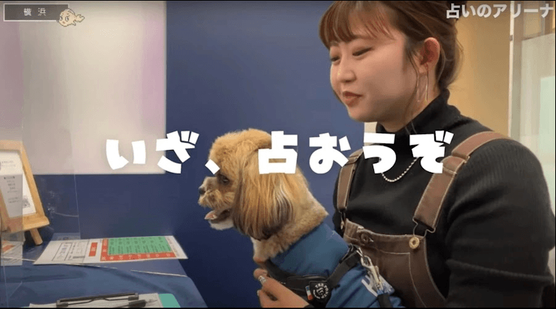 占いのアリーナ 横浜ベイクォーター店